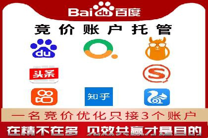 网站sem托管服务提供商的成功案例分析